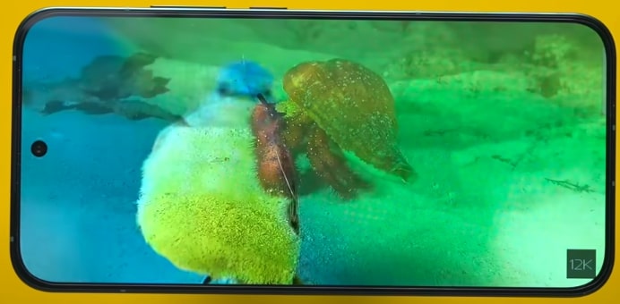 oppo reno 14 pro display